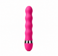 Multi Speed Vibrator